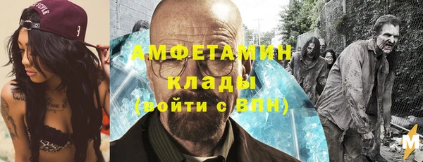 шишки Верея